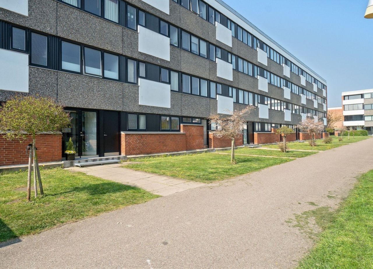 image 01