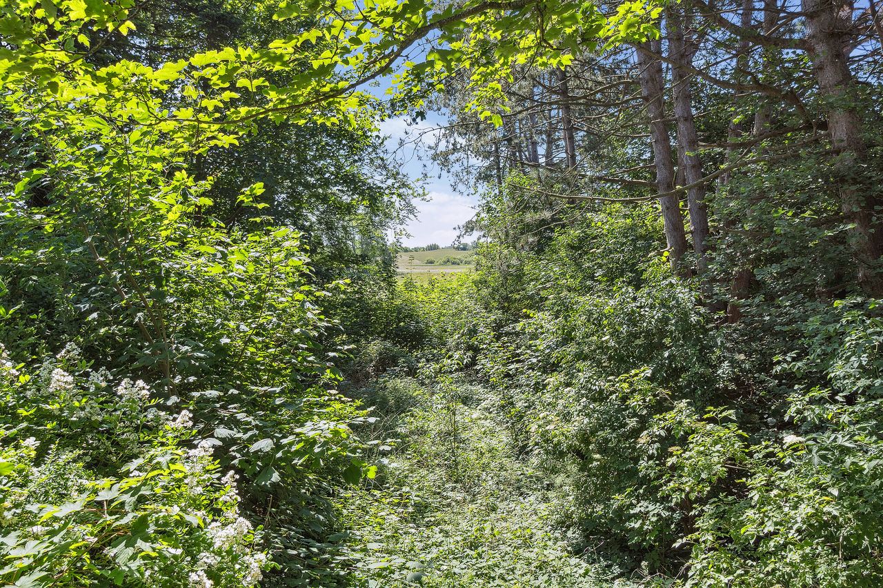 image 04