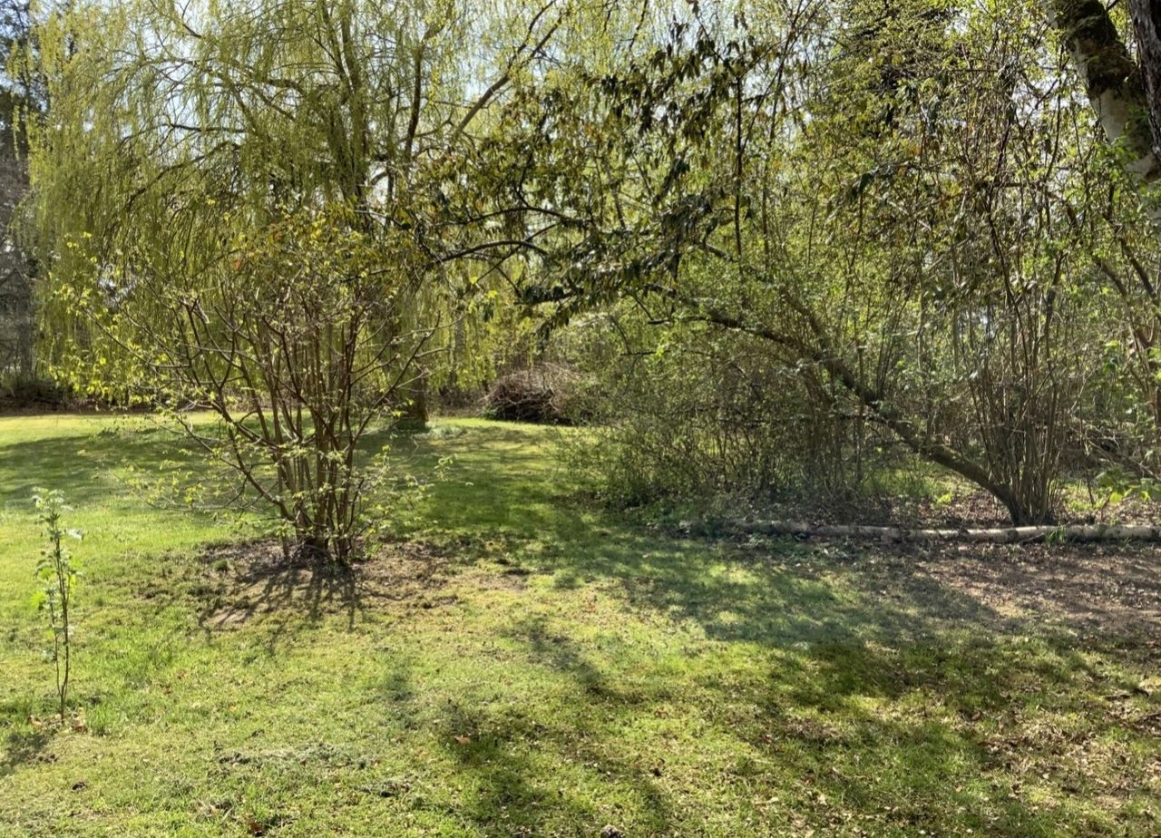 image 01