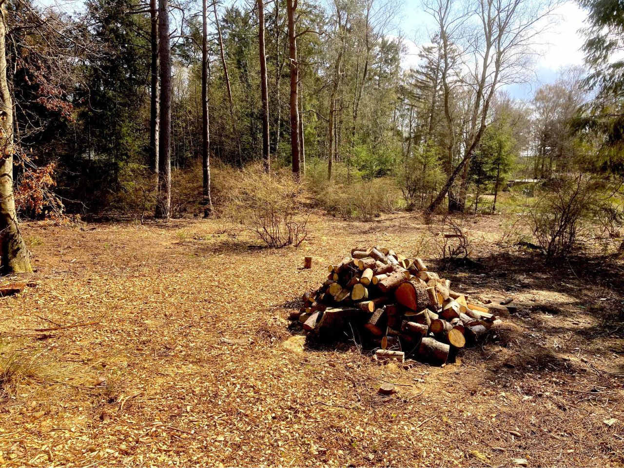 image 01